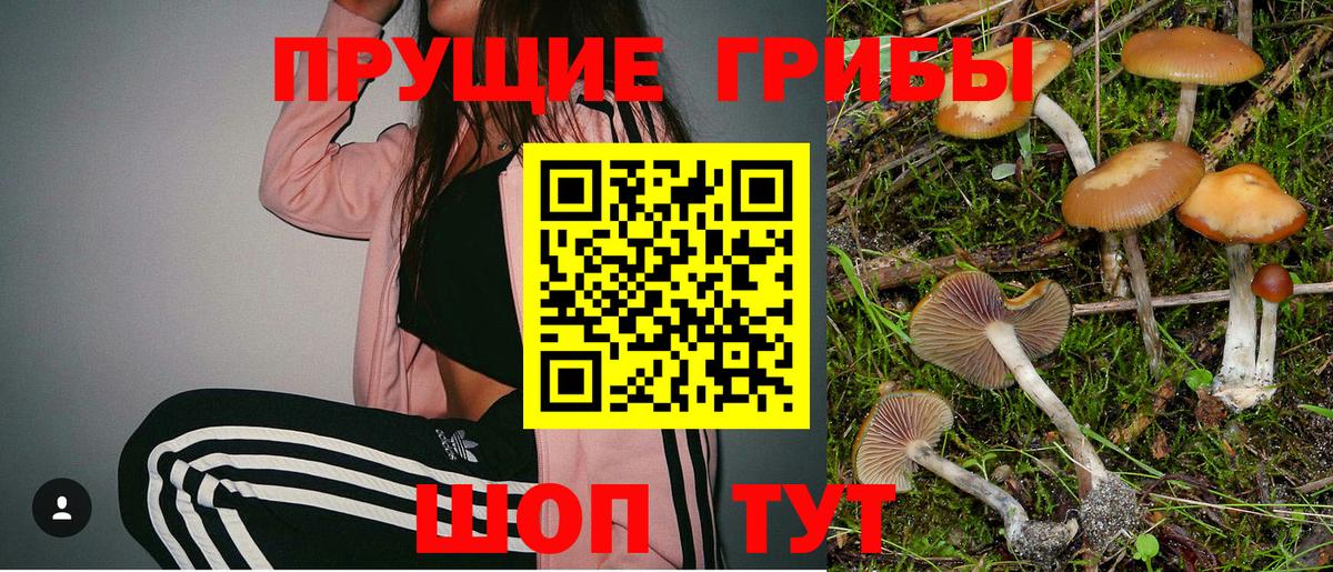 Псилоцибиновые грибы Psilocybine cubensis  закладка  Владивосток  Вход с VPN 