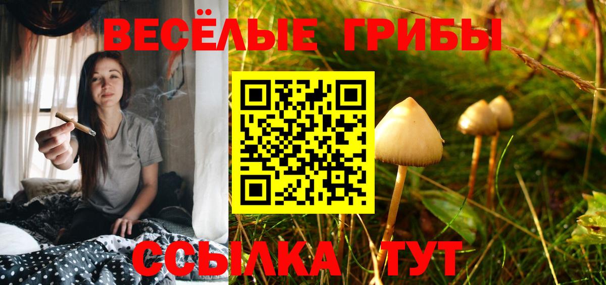 Псилоцибиновые грибы MAGIC MUSHROOMS Владивосток